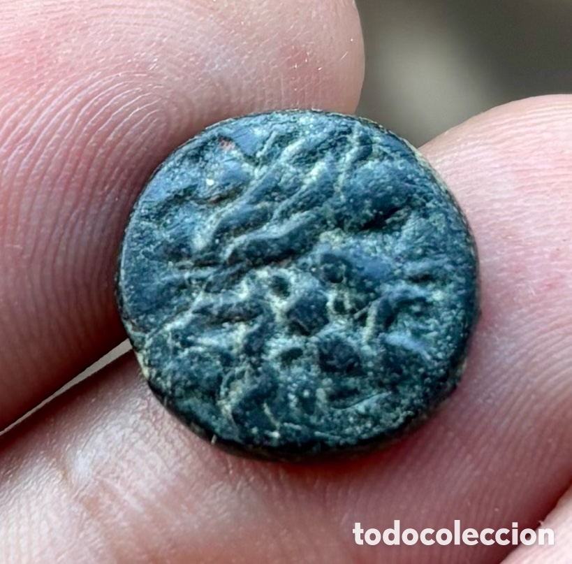 Monedas Grecia antigua: Moneda ANTIGUA GRECIA. Mysia Asklepius (133 a.C) Pergamon. Serpiente
