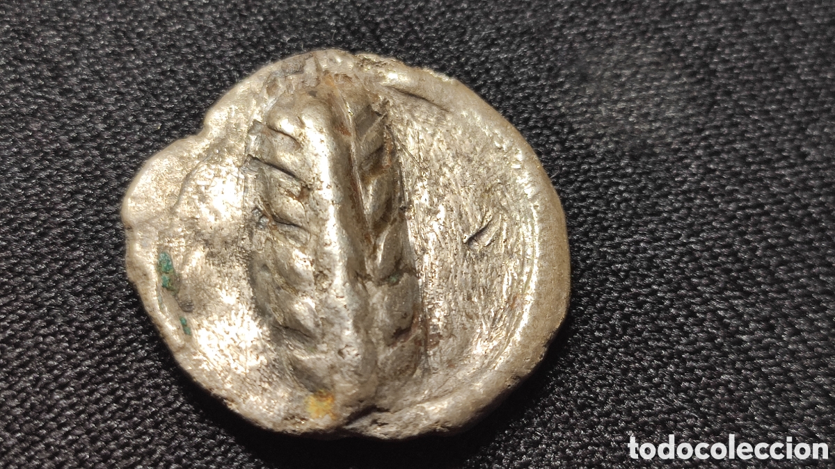 Monedas Grecia antigua: est&aacute;tera/tridracma incusa) de la ceca de Metaponto, en la regi&oacute;n de Lucania (sur de Italia),
