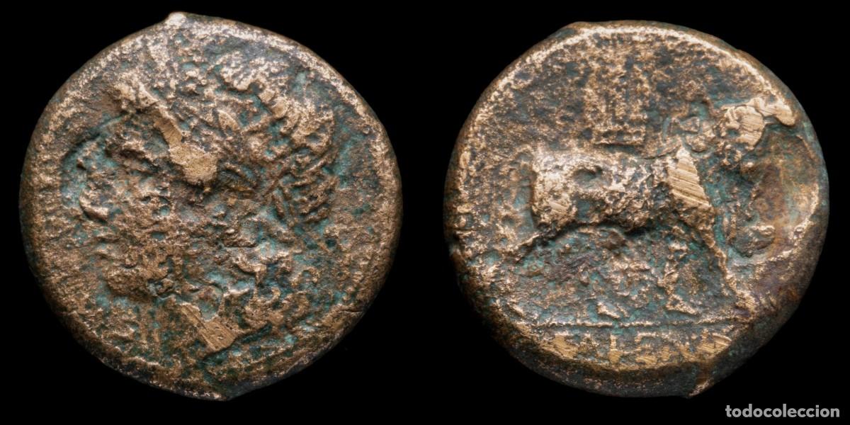 Monedas Grecia antigua: Greek Bronze Campania, Cales (264-240 b.C.) - 19 mm / 7,05 gr.