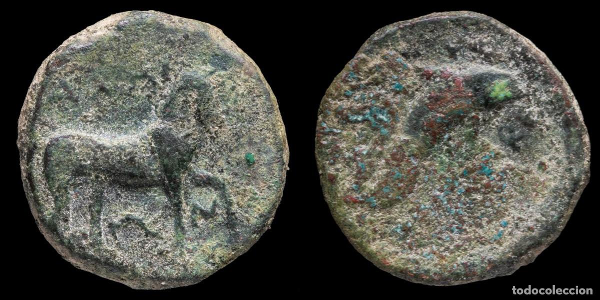 Monedas Grecia antigua: Greek Bronze Apulia, Salapia ( 275-250 b.C.) - 21 mm / 9,59 gr.