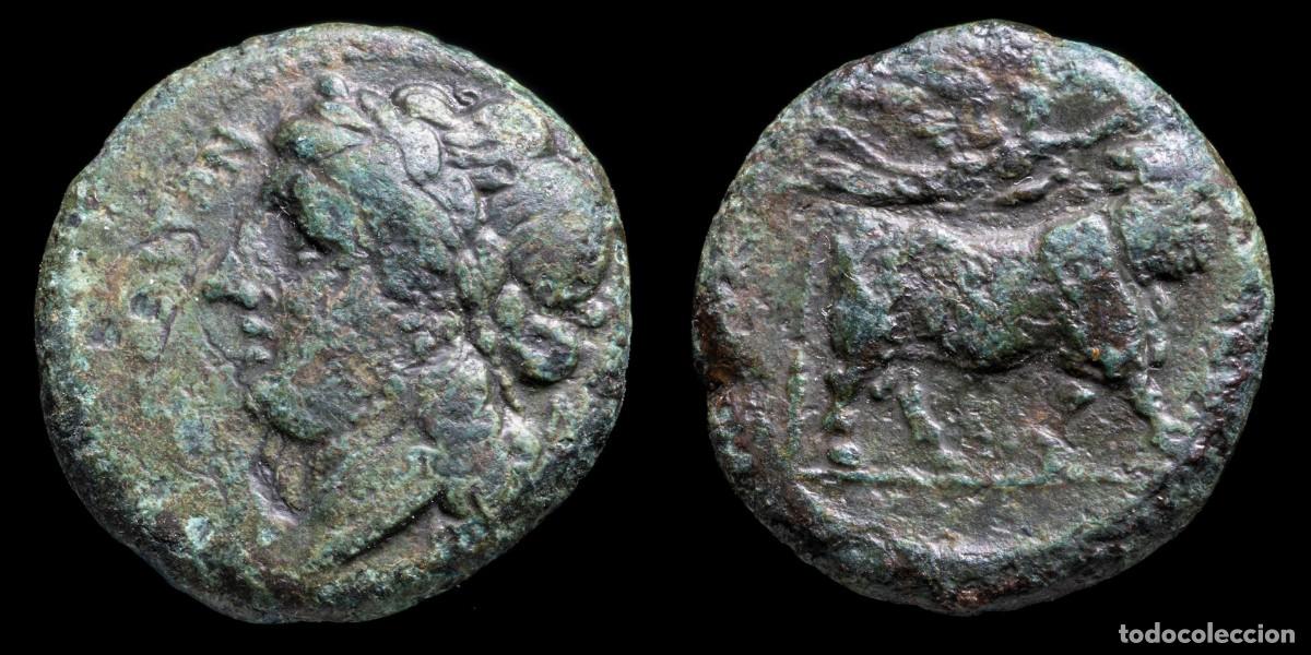 Monedas Grecia antigua: Greek Bronze Campania Cales (265-240 b.C.) - 19 mm / 5,95 gr.