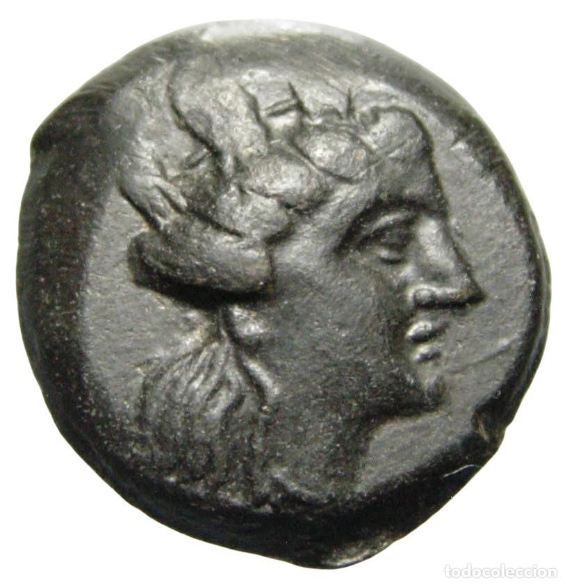 Monedas Grecia antigua: Fenicia, Arados &AElig; (242-166 aC)