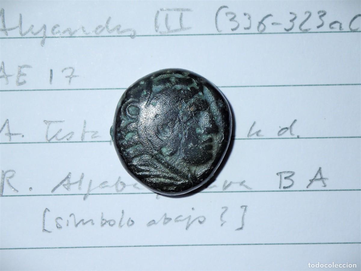 Monedas Grecia antigua: AE MACEDONIA ALEJANDRO III 325-310 EN VIDA Macedonia Alexander III Lifetime