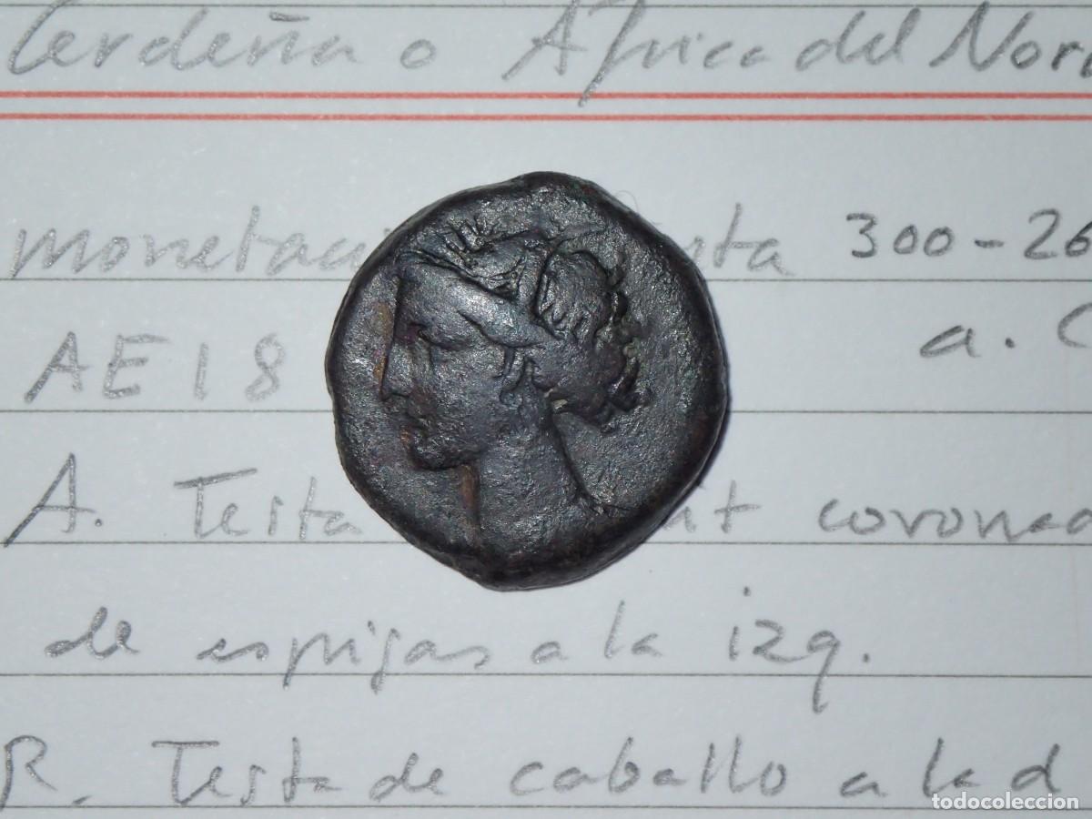 Monedas Grecia antigua: AE18 CARTAGO-ZEUGITANIA TANIT CABALLO 300-264 a. C. Carthage uncertain mint