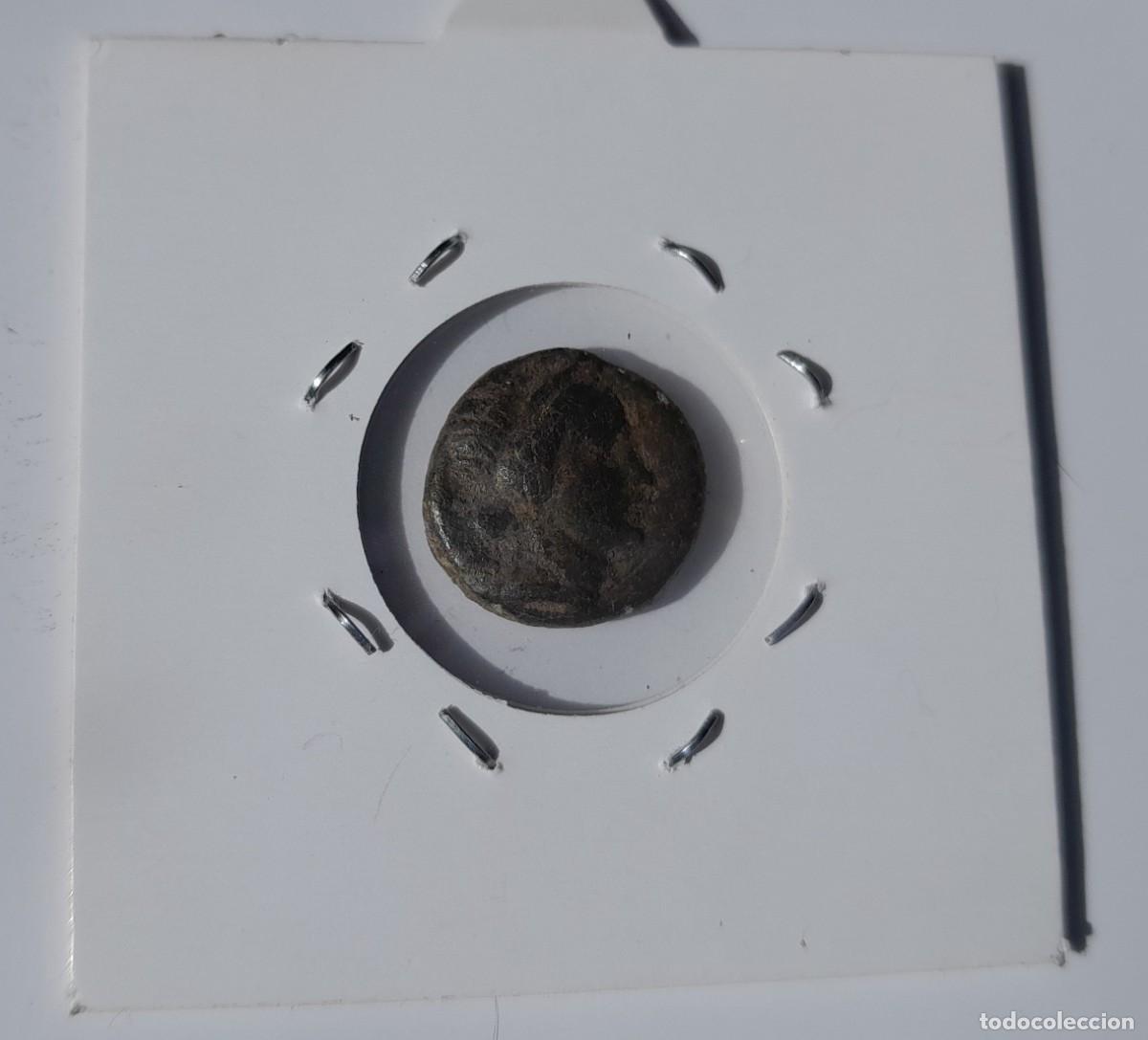 Monedas Grecia antigua: MONEDA HELENISTICA. GACELA - Foto 2