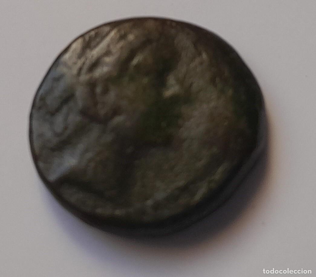 Monnaies Gr&egrave;ce Antique: MONEDA HELENISTICA. CABALLO EN REVERSO