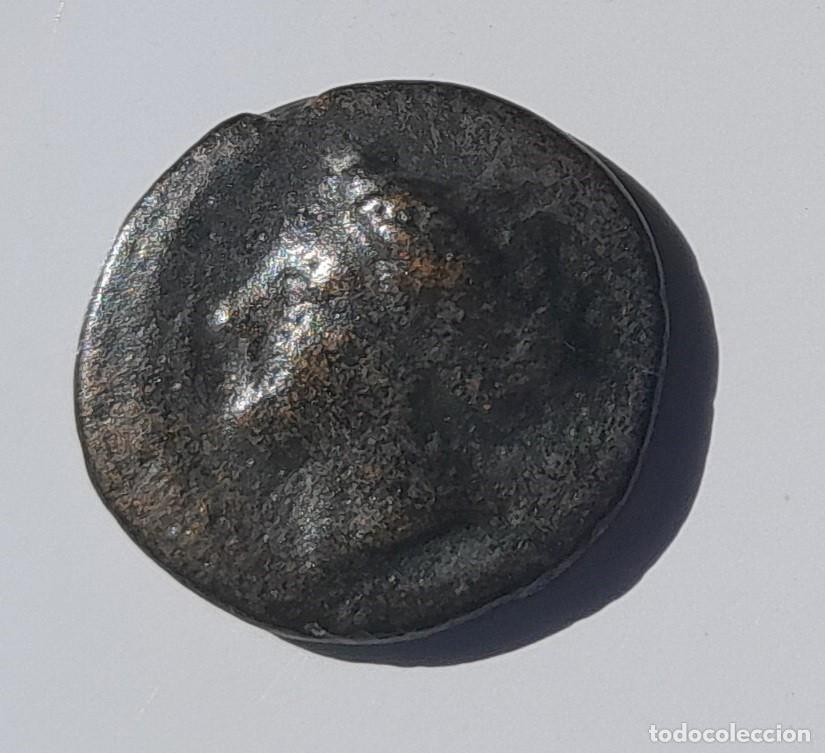Monnaies Gr&egrave;ce Antique: MONEDA HELENISTICA. TORO EMBISTIENDO