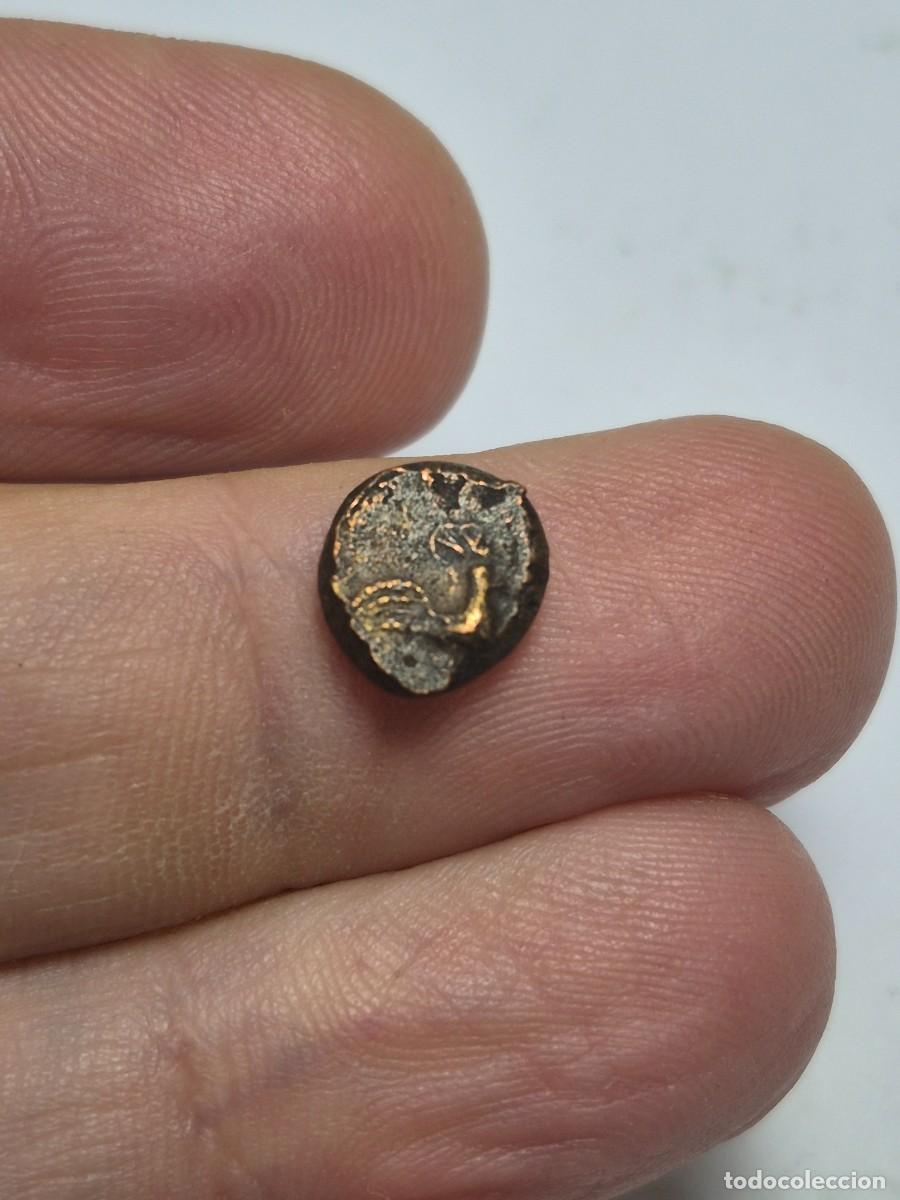 Ancient Greece Coins: NT/ PEQUE&Ntilde;O BRONCE GRIEGO SIRACUSA? A IDENTIFICAR 1,40 GRS (A1841)