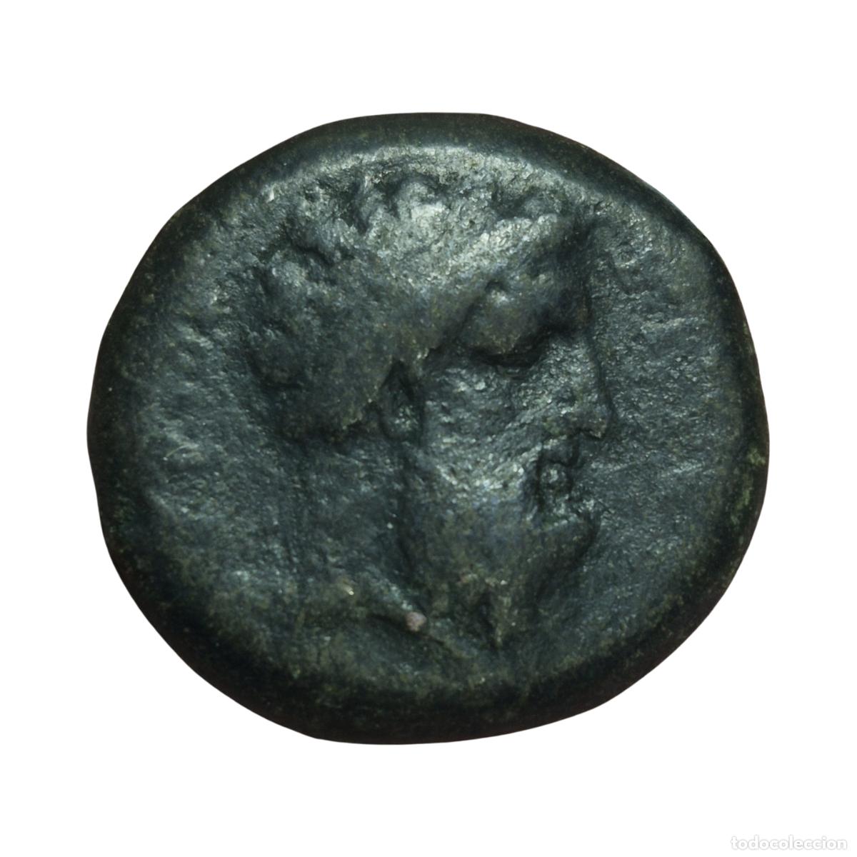 Monedas Grecia antigua: NT/ BRONCE GRIEGO SICILIA HEMILITRON 343-317 AC TIMOLE&Oacute;N (A1944)