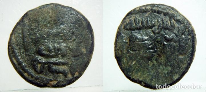 Monedas Hispano &aacute;rabes: Felus Hispanoarabe a catalogar - Foto 1