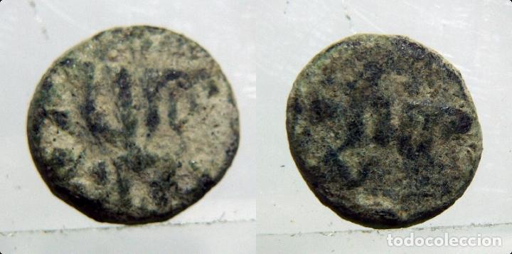 Monedas Hispano &aacute;rabes: Felus Hispanoarabe a catalogar - Foto 1