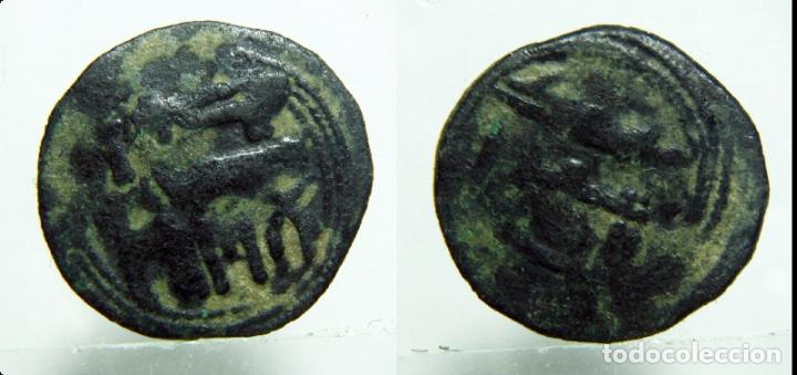 Monedas Hispano &aacute;rabes: Felus Hispanoarabe a catalogar - Foto 1