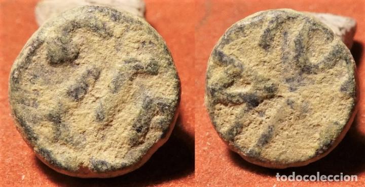 Monedas Hispano &aacute;rabes: FELUS HISPANOARABE A CATALOGAR - Foto 1