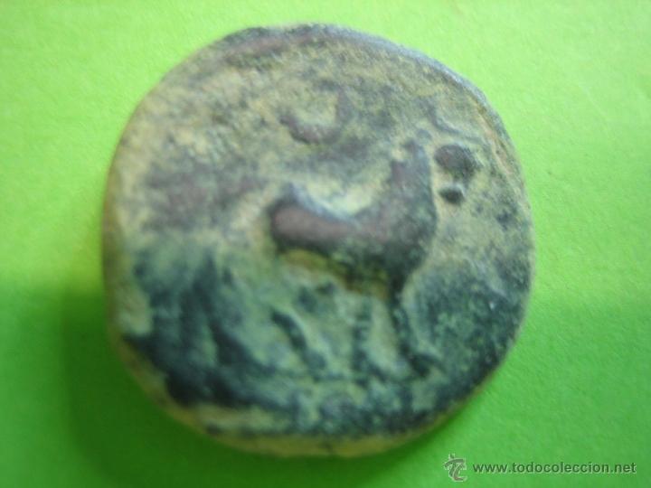 Monedas ib&eacute;ricas: ROMAN COIN. MONEDA IBERICA. SEMIS CASTULO - Foto 2