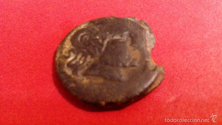 Monedas ib&eacute;ricas: SEMIS CARTEIA, CADIZ - Foto 1