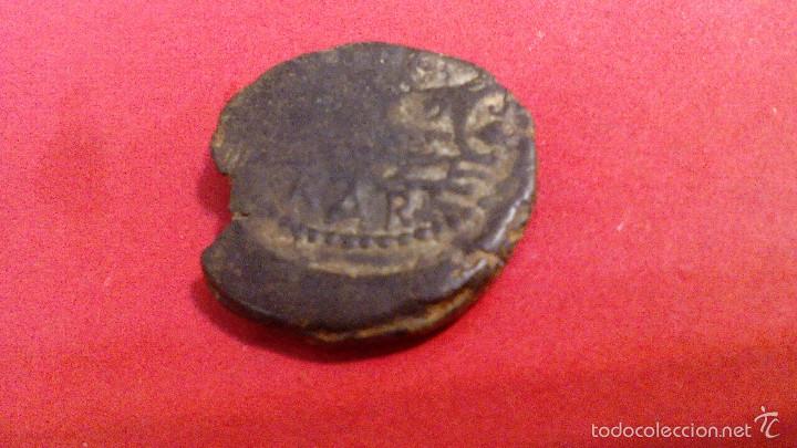 Monedas ib&eacute;ricas: SEMIS CARTEIA, CADIZ - Foto 4