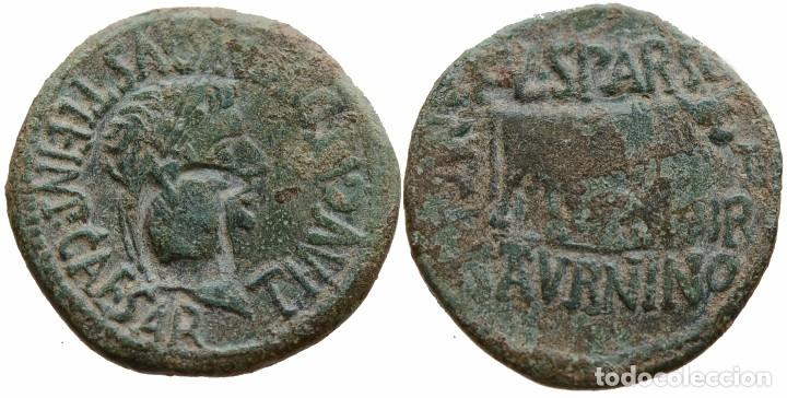 Monedas ib&eacute;ricas: CALAGURRIS TIBERIO AS - Foto 1
