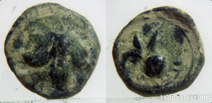 Monedas ib&eacute;ricas: MONEDA DE 1/4 DE CALCO, CARTAGINES - Foto 1