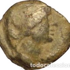 Monedas ibéricas: COLONIA PATRICIA (CÓRDOBA). SEMIS. Lote 160099866