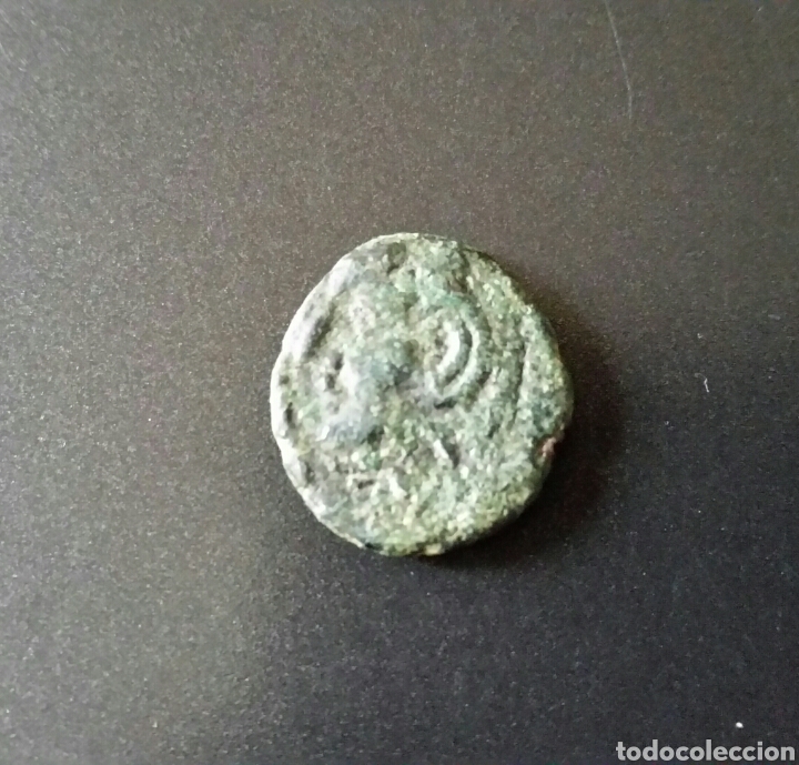Monedas ib&eacute;ricas: SEMIS DE GADES GADIR - Foto 1
