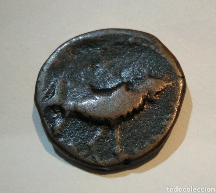 Monedas ib&eacute;ricas: Moneda de bronce iberica, as de castulo , jaen - Foto 2