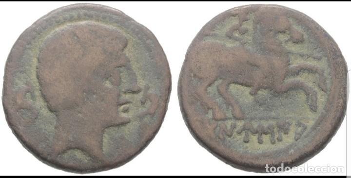 Monedas ibéricas: AS de Tamusia, muy escasa - Foto 1 - 191618366