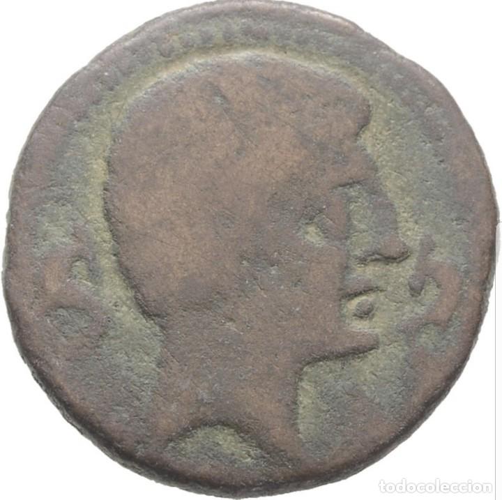 Monedas ib&eacute;ricas: AS de Tamusia, muy escasa - Foto 2