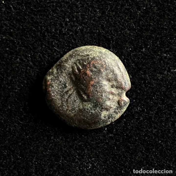 Monedas ib&eacute;ricas: MONEDA IB&Eacute;RICA CASTULO. HISPANIA ANTIGUA. - Foto 1