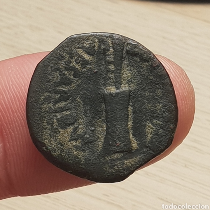 Monedas ib&eacute;ricas: BONITO CUADRANTE DE CARTEIA - Foto 2