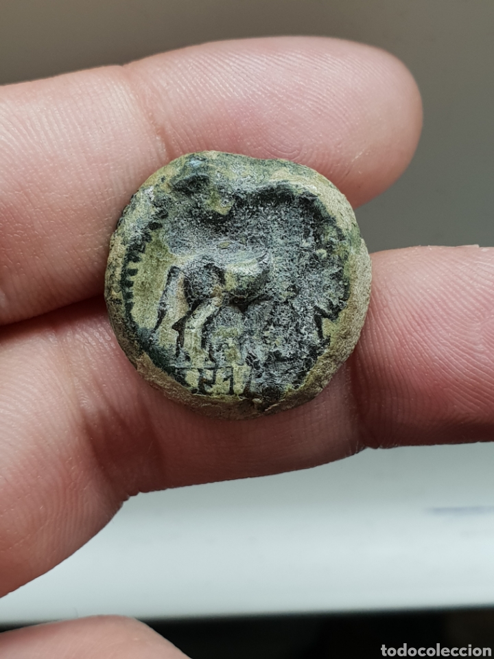 Monedas ib&eacute;ricas: BONITO SEMIS DE CASTULO - Foto 2