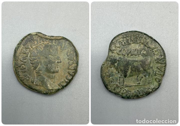 AS DE CLUNIA. VER FOTOS (Numismática - Hispania Antigua - Moneda Ibérica no Romanas)
