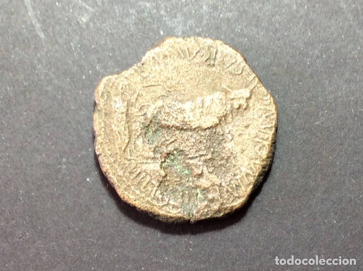Monedas ibéricas: AS COLONIA CAESAR AUGUSTO - Foto 2 - 225924180