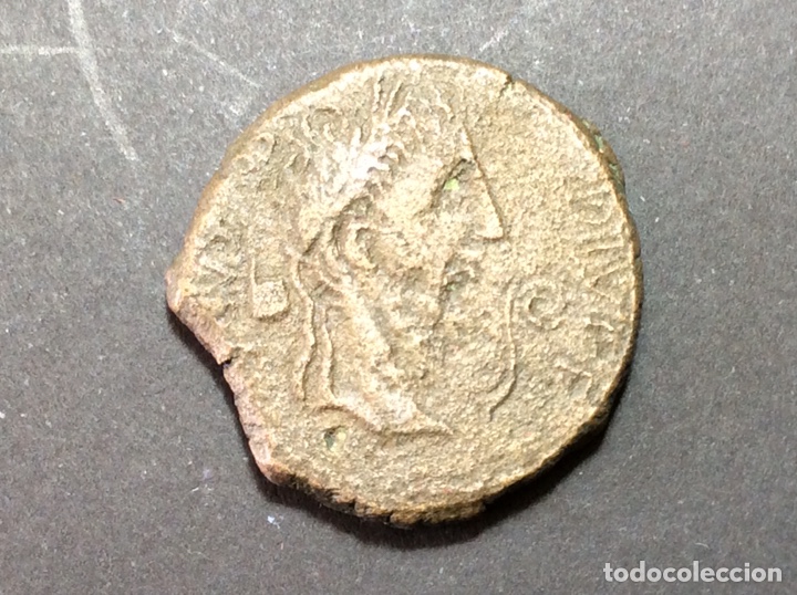 Monedas ibéricas: AS COLONIA CAESAR AUGUSTO - Foto 1 - 225924180