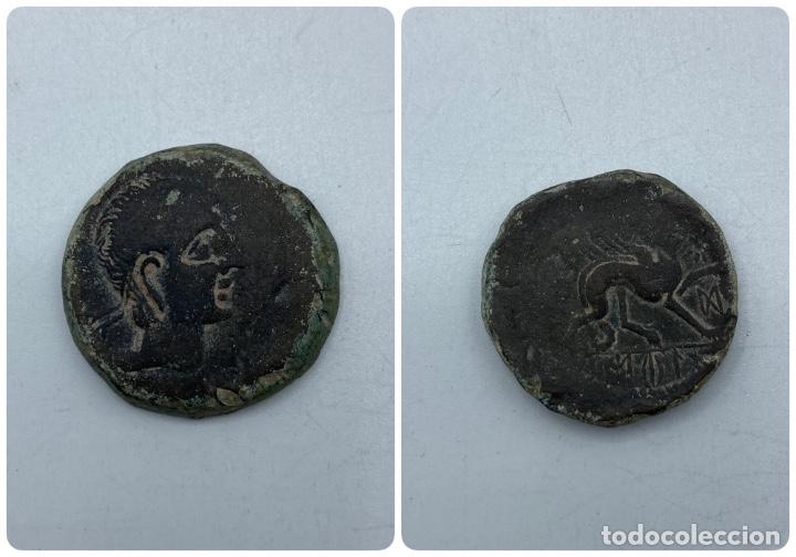 AS CASTULO. PESO: 27 GR (Numismática - Hispania Antigua - Moneda Ibérica no Romanas)