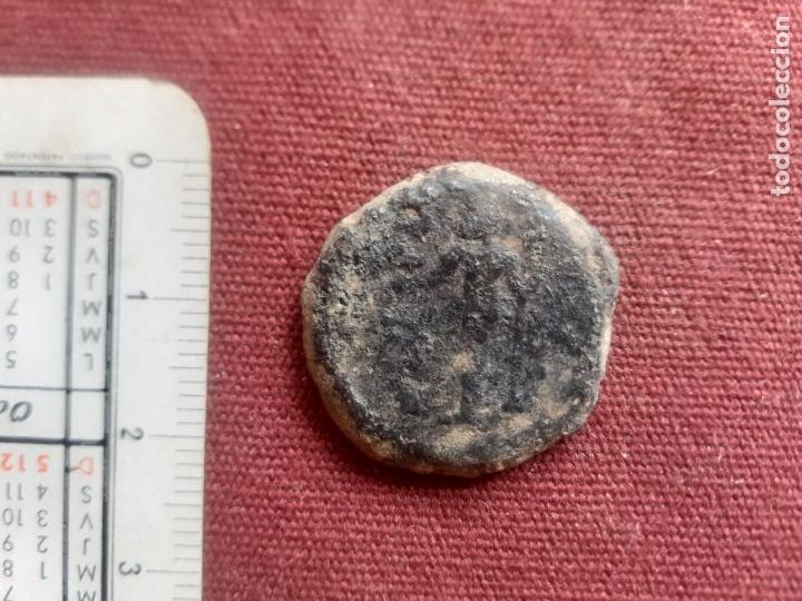 Monedas ib&eacute;ricas: SEMIS CARTEIA, CADIZ - Foto 2