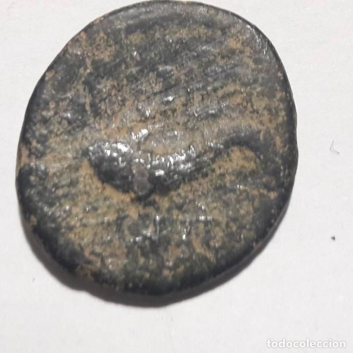 Monedas ib&eacute;ricas: CARTEIA SEMIS - Foto 1