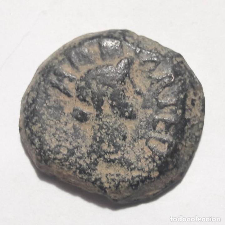 Monedas ib&eacute;ricas: CARTEIA SEMIS - SAN ROQUE - Foto 1