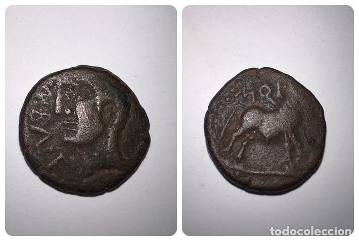 MONEDA. CASTULO SEMIS. VER FOTOS (Numismática - Hispania Antigua - Moneda Ibérica no Romanas)