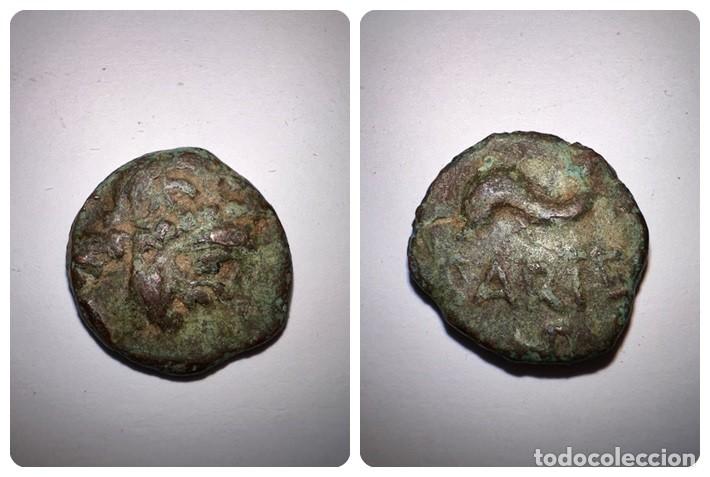 MONEDA. SEMIS CARTEIA . VER FOTOS (Numismática - Hispania Antigua - Moneda Ibérica no Romanas)