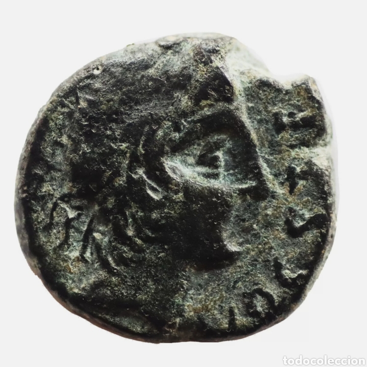 Monedas ib&eacute;ricas: SEMIS CASTULO CAZLONA (JAEN) 150 A.C. - Foto 1