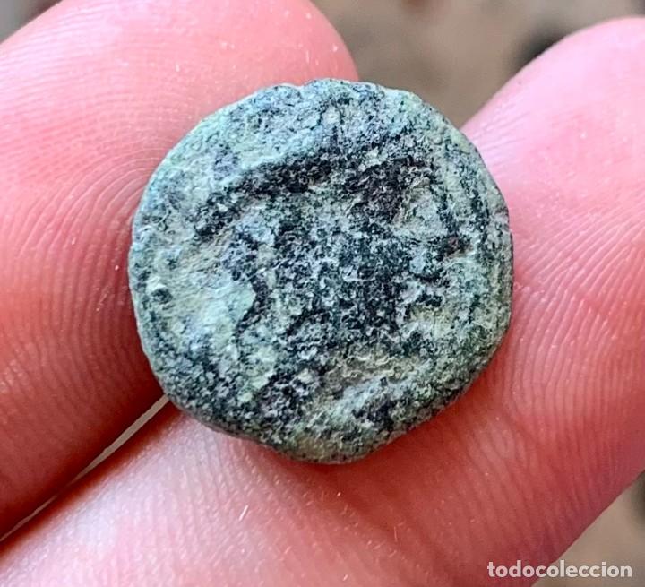 Monedas ib&eacute;ricas: CORDUBA SEMIS 50 a.c. - Foto 1