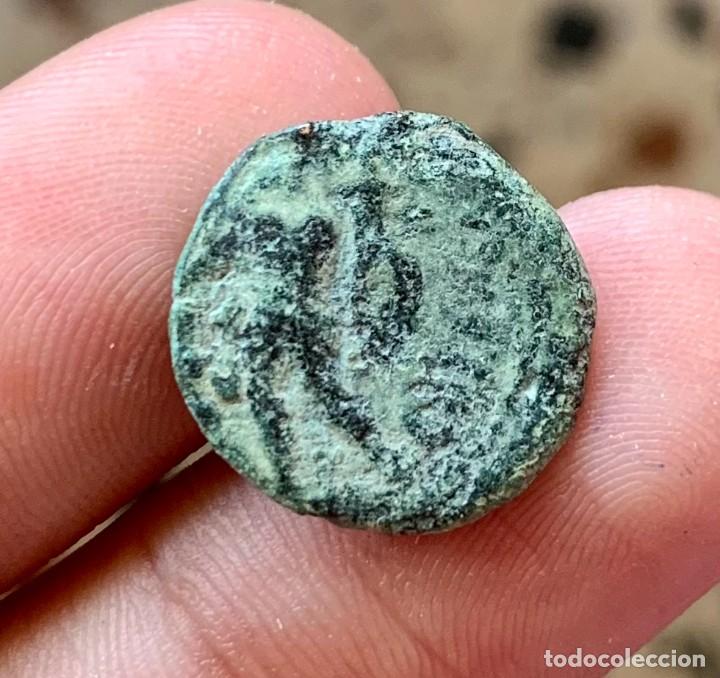 Monedas ib&eacute;ricas: CORDUBA SEMIS 50 a.c. - Foto 2