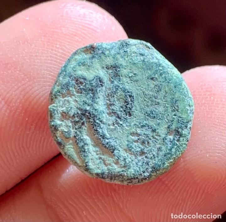 Monedas ib&eacute;ricas: CORDUBA SEMIS 50 a.c. - Foto 3
