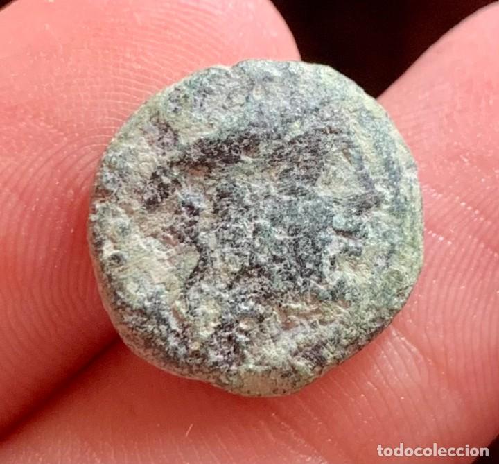 Monedas ib&eacute;ricas: CORDUBA SEMIS 50 a.c. - Foto 4