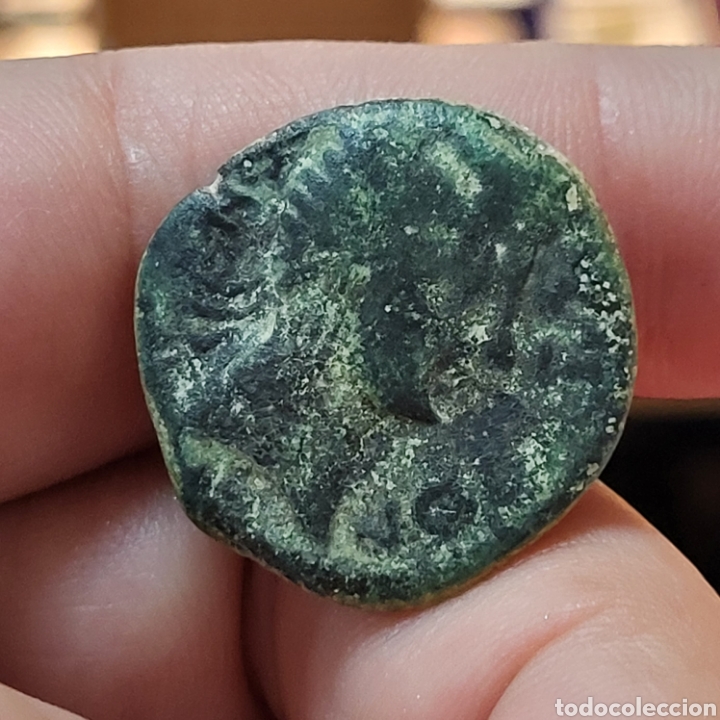 Monedas ib&eacute;ricas: SEMIS DE CASTULO 180-150 A.C. TORO - Foto 2
