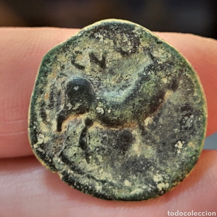 Monedas ib&eacute;ricas: SEMIS DE CASTULO 180-150 A.C. TORO - Foto 1