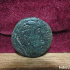 Monete iberiche: IBERA SEMIS DE ILTIRKESTEN SIGLO II A.C - SOLSONA - LLEIDA. Lote 363724795