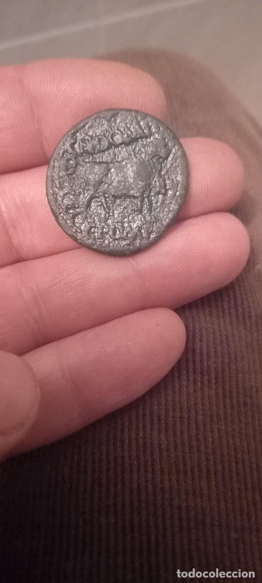 Monedas ib&eacute;ricas: AS IBERICO - Foto 2