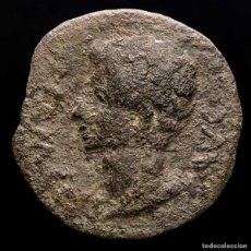 Monedas ibéricas: COLONIA PATRICIA, AS, AUGUSTO (27 AC-14 DC) COLONIA PATRICIA (1050). Lote 399127049