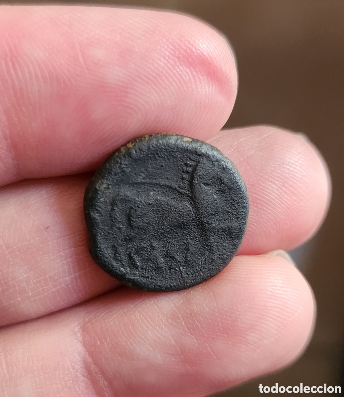 Monedas ib&eacute;ricas: Semis ib&eacute;rico de Kese (Tarragona) - Foto 4